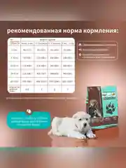 Сухой полнорационный корм для щенков крупных пород ТМ «Дилли».