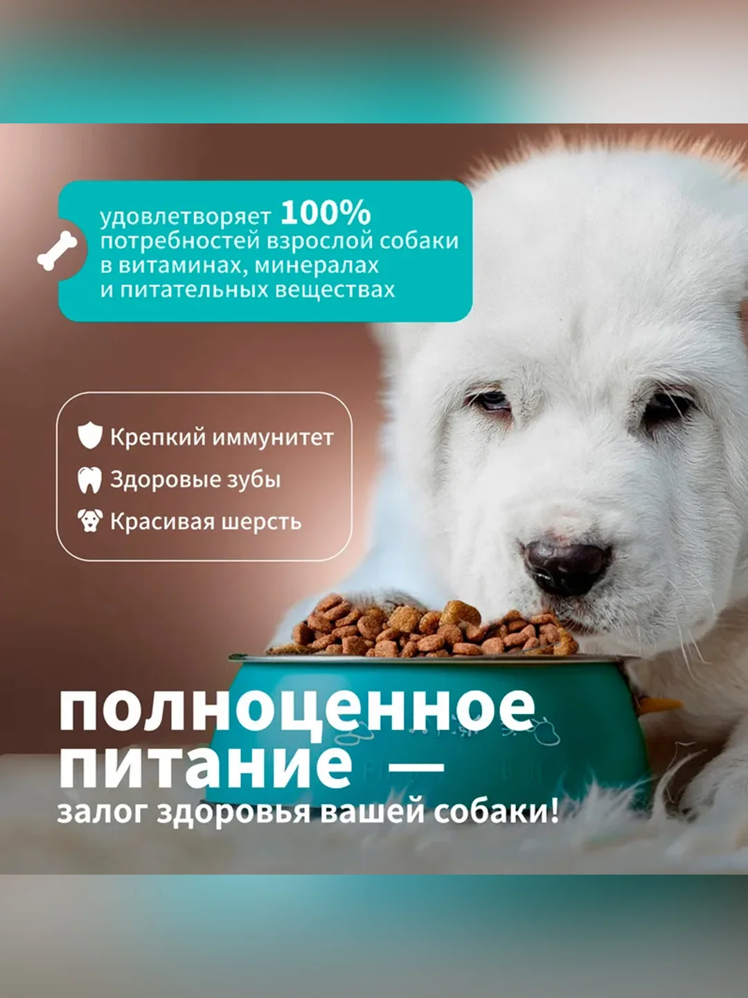 Сухой полнорационный корм для щенков крупных пород ТМ «Дилли».