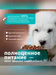 Сухой полнорационный корм для щенков крупных пород ТМ «Дилли».