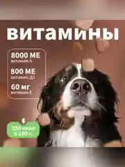 Сухой полнорационный корм для собак «Говяжий гуляш с овощами» ТМ «Дилли»
