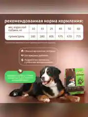 Сухой полнорационный корм для собак «Говяжий гуляш с овощами» ТМ «Дилли»