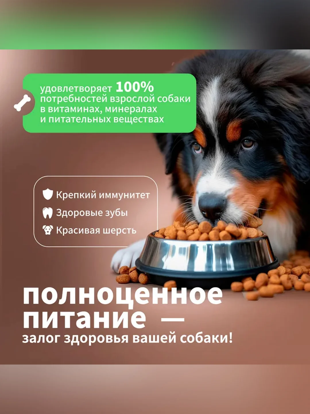 Сухой полнорационный корм для собак «Говяжий гуляш с овощами» ТМ «Дилли»