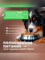 Сухой полнорационный корм для собак «Говяжий гуляш с овощами» ТМ «Дилли»