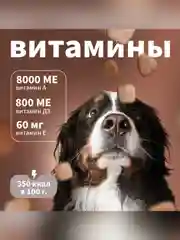 Сухой полнорационный корм для собак «С индейкой и рисом»ТМ «Дилли».