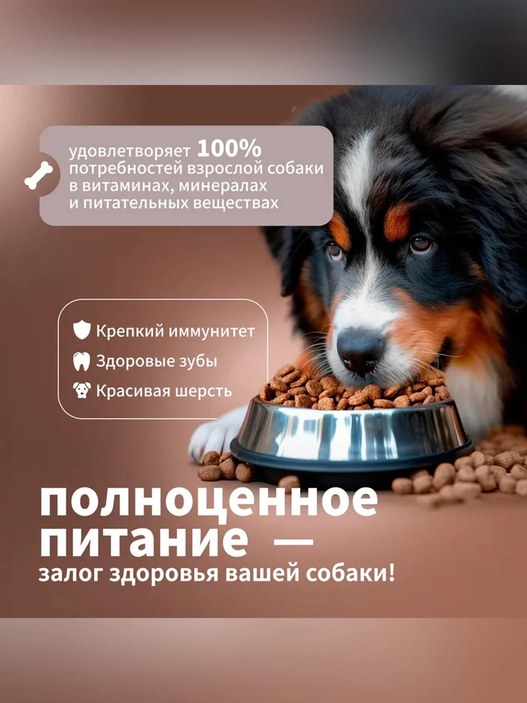 Сухой полнорационный корм для собак «С индейкой и рисом»ТМ «Дилли».