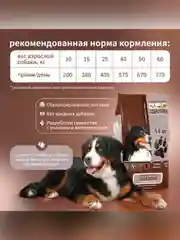 Сухой полнорационный корм для собак «С индейкой и рисом»ТМ «Дилли».