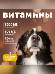 Сухой полнорационный корм для собак «Рагу из курицы с рисом»ТМ «Дилли».