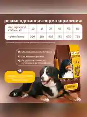 Сухой полнорационный корм для собак «Рагу из курицы с рисом»ТМ «Дилли».