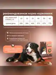 Сухой полнорационный корм для собак «Говяжья печень с овсянкой»ТМ «Дилли».