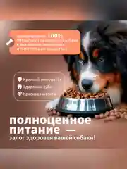 Сухой полнорационный корм для собак «Говяжья печень с овсянкой»ТМ «Дилли».
