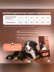 Сухой полнорационный корм для собак «Говяжья печень с овсянкой»ТМ «Дилли».