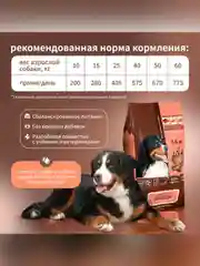 Сухой полнорационный корм для собак «Говяжья печень с овсянкой»ТМ «Дилли».