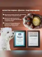 Сухой полнорационный корм для взрослых собак мелких пород ТМ «Дилли»