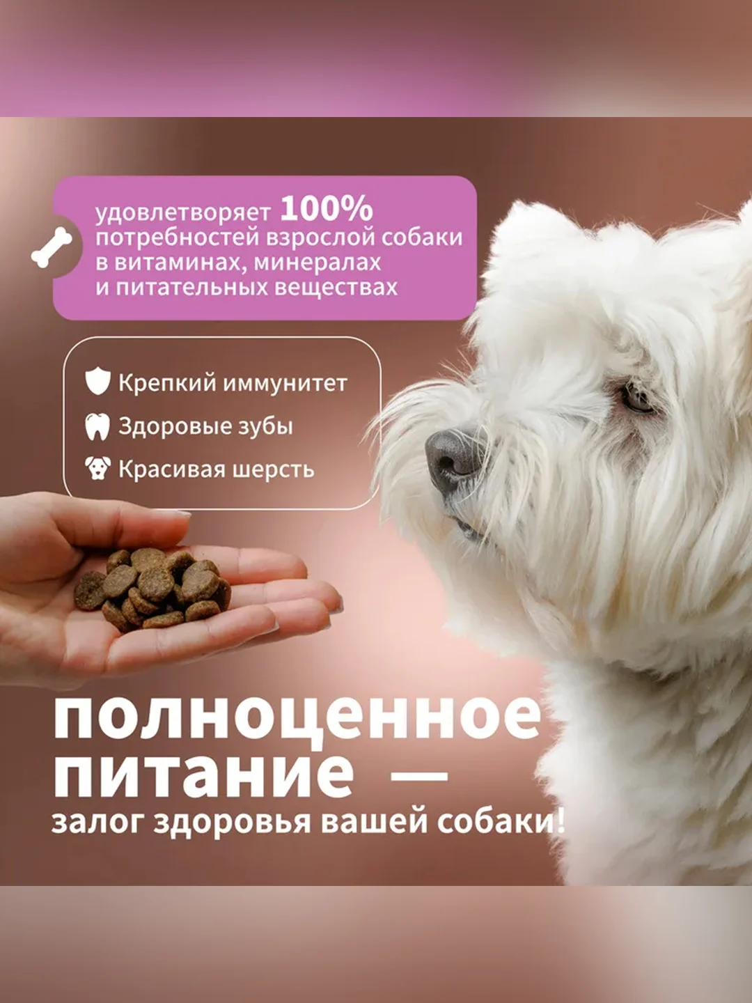 Сухой полнорационный корм для взрослых собак мелких пород ТМ «Дилли»