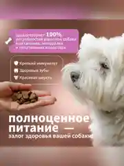 Сухой полнорационный корм для взрослых собак мелких пород ТМ «Дилли»