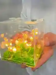 Разноцветный ночник, набор для творчества, собери своими руками