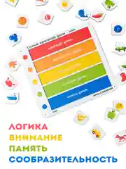 Сортер по цветам, изучаем цвет, деревянный сортер, игра для детей