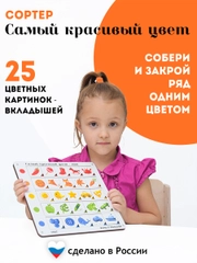 Сортер по цветам, изучаем цвет, деревянный сортер, игра для детей