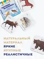 Пазлы картинки половинки "Животные", 12 шт