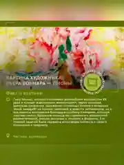 Гель для душа Only Bio Art&Natural Нежность кожи Бархатистый пион и масло розы, 290 мл