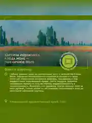Гель для душа освежающий Only Bio Art & Natural "Ароматные цветы Живерни", 290 мл