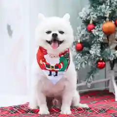 Бандана - косынка новогодняя для собак и кошек / шарфик для животных
