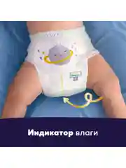 Трусики ночные Pampers Premium Care, 12-17кг, размер 5, 20 шт