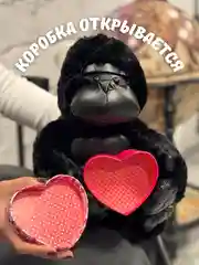 Мягкая игрушка Обезьяна с подарочной коробочкой в лапах, 22 см