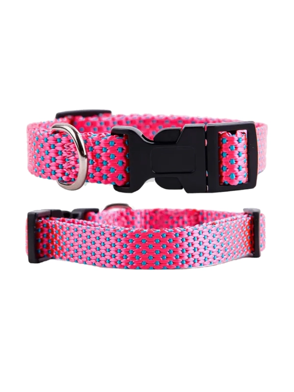 Ошейник Аркон Dog&Vogue NEO, нейлон, ширина 15 мм, 24-32 см, розовый