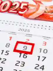 Бирюзовый квартальный календарь на 2025 год, настенный, 30 х 42 см