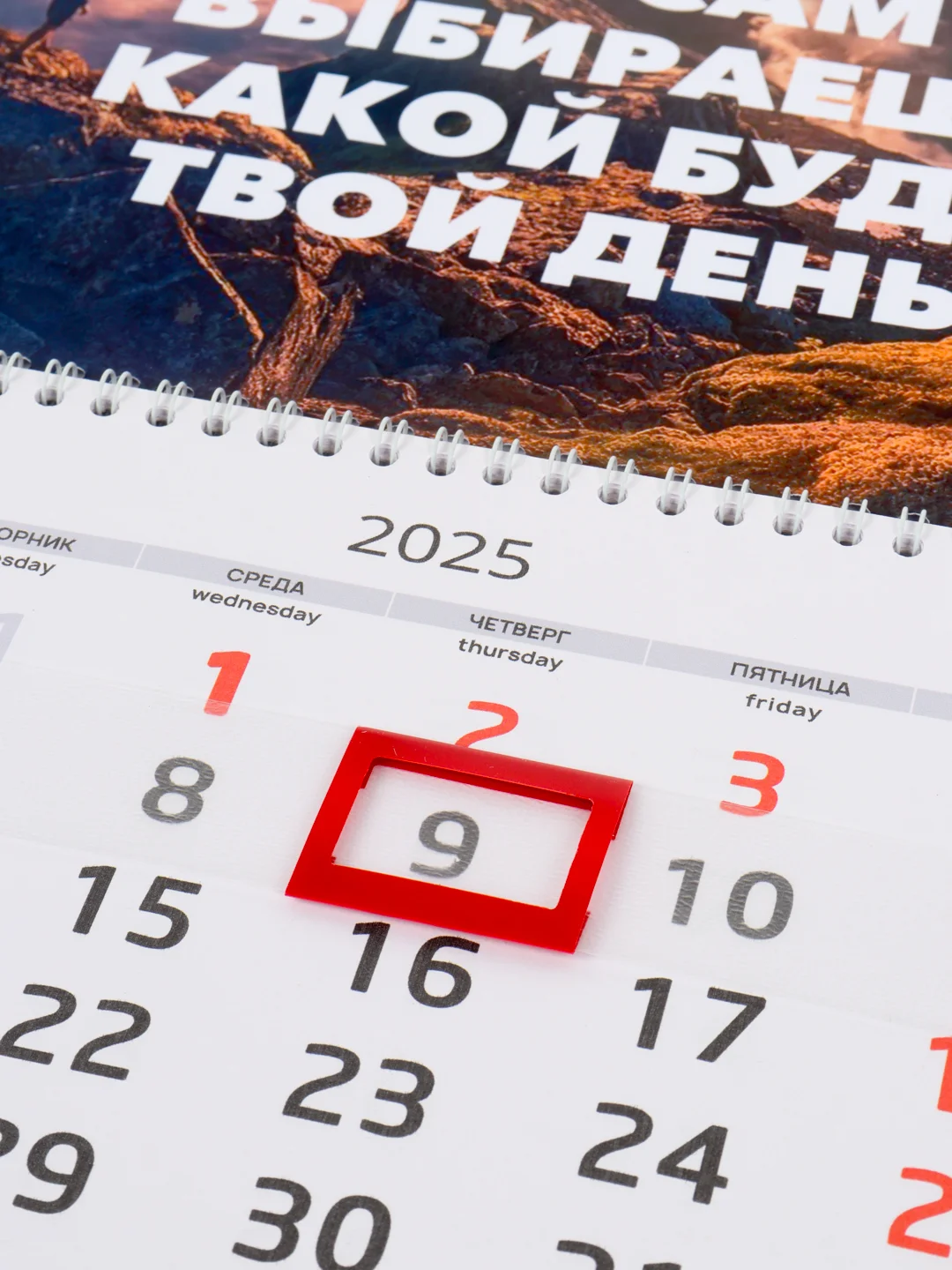 Карамельный квартальный календарь на 2025 год, настенный, 30 х 42 см