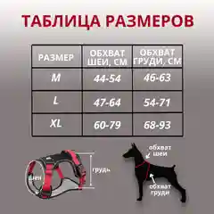 Шлейка для собак анатомическая, для прогулок и дрессировки