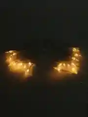 Золотой гирлянда на батарейках, гирлянда новогодняя, фотозона, гирлянда на елку