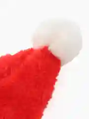 Красный колпак Новогодний для собак