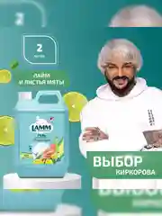 LAMM Нежные руки средство для мытья посуды, 2 л, без фосфатов