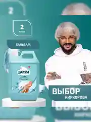 LAMM Нежные руки средство для мытья посуды, 2 л, без фосфатов