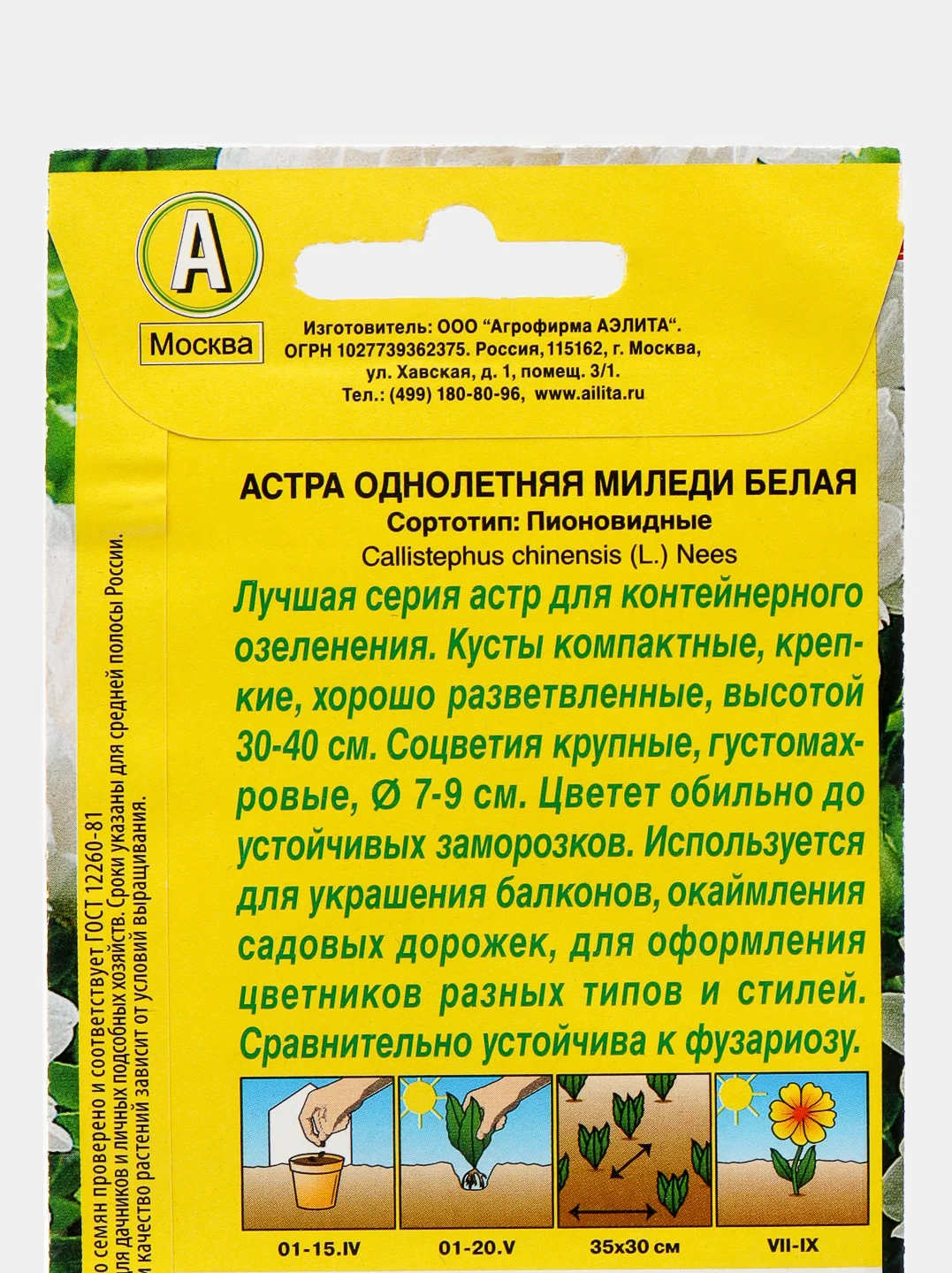 Астра Миледи белая (семена,цветы)