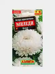 Астра Миледи белая (семена,цветы)