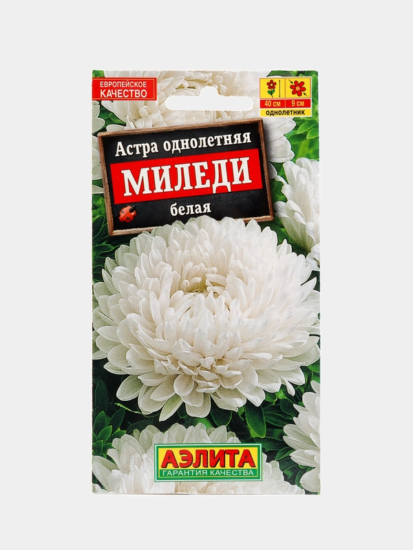 Астра Миледи белая (семена,цветы)