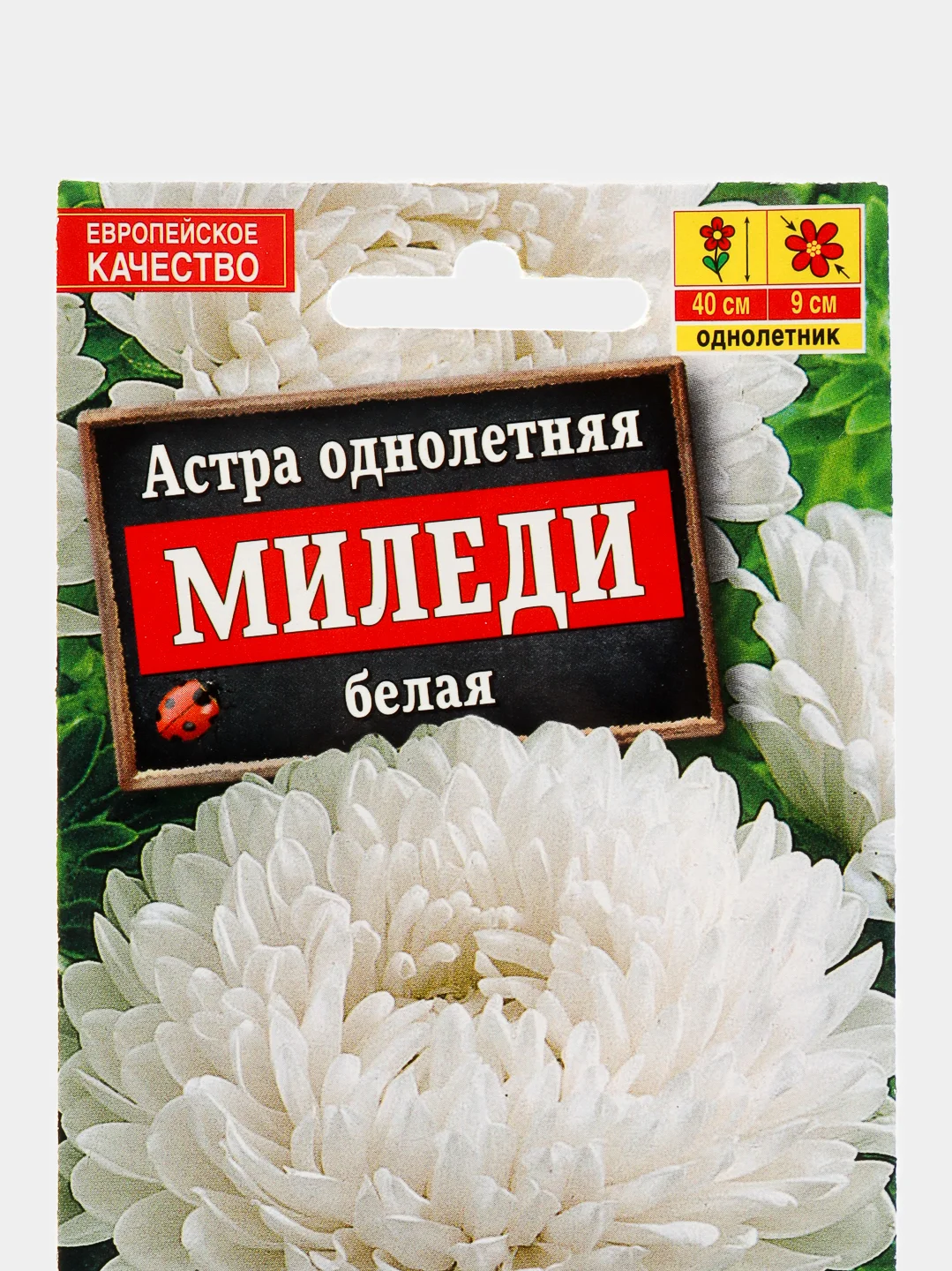 Астра Миледи белая (семена,цветы)