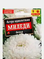 Астра Миледи белая (семена,цветы)