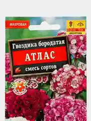 Семена цветов Гвоздика "Атлас", 0,3 г