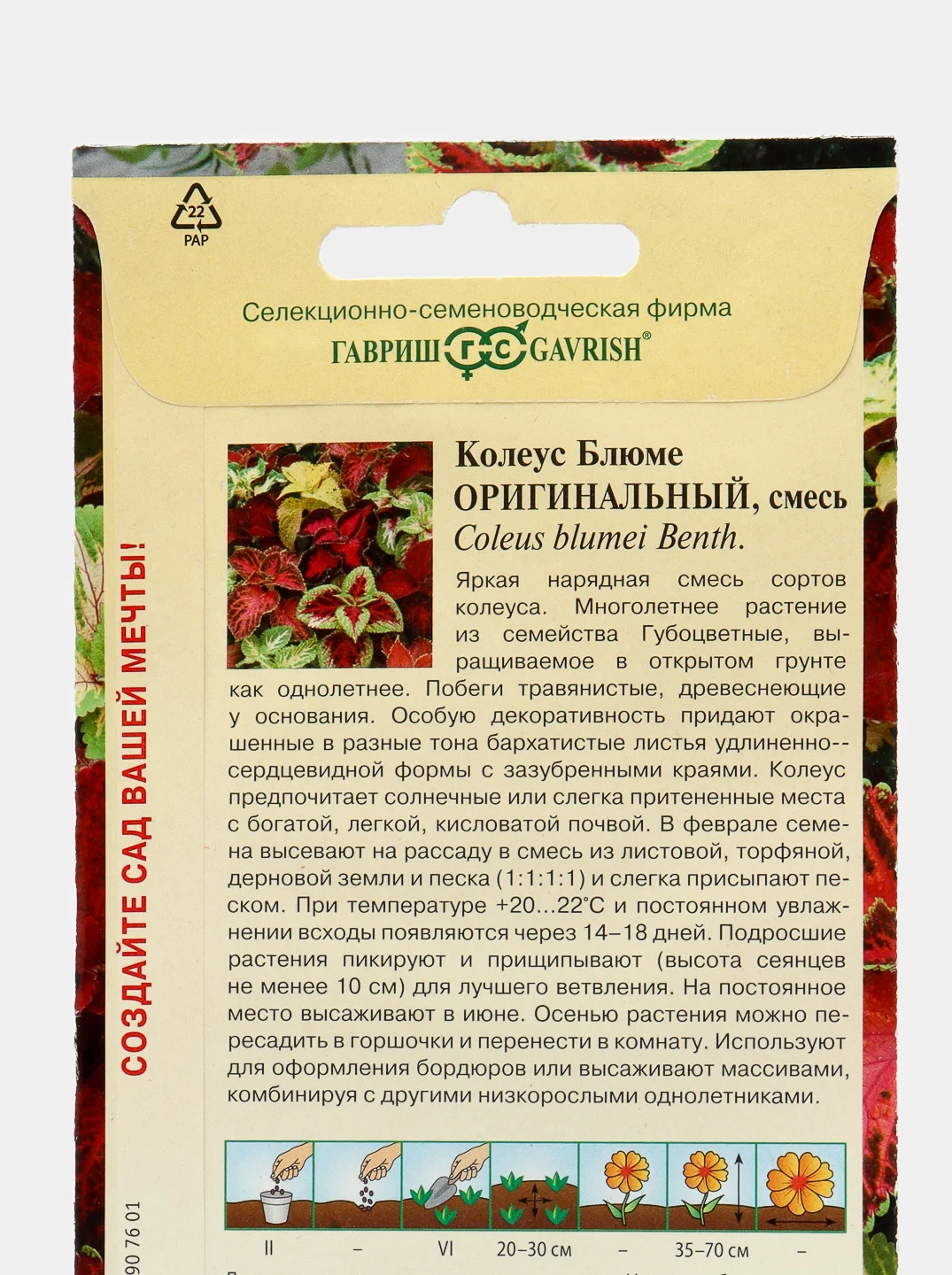 Семена цветов Колеус "Оригинальный", ц/п, смесь, 0,03 г