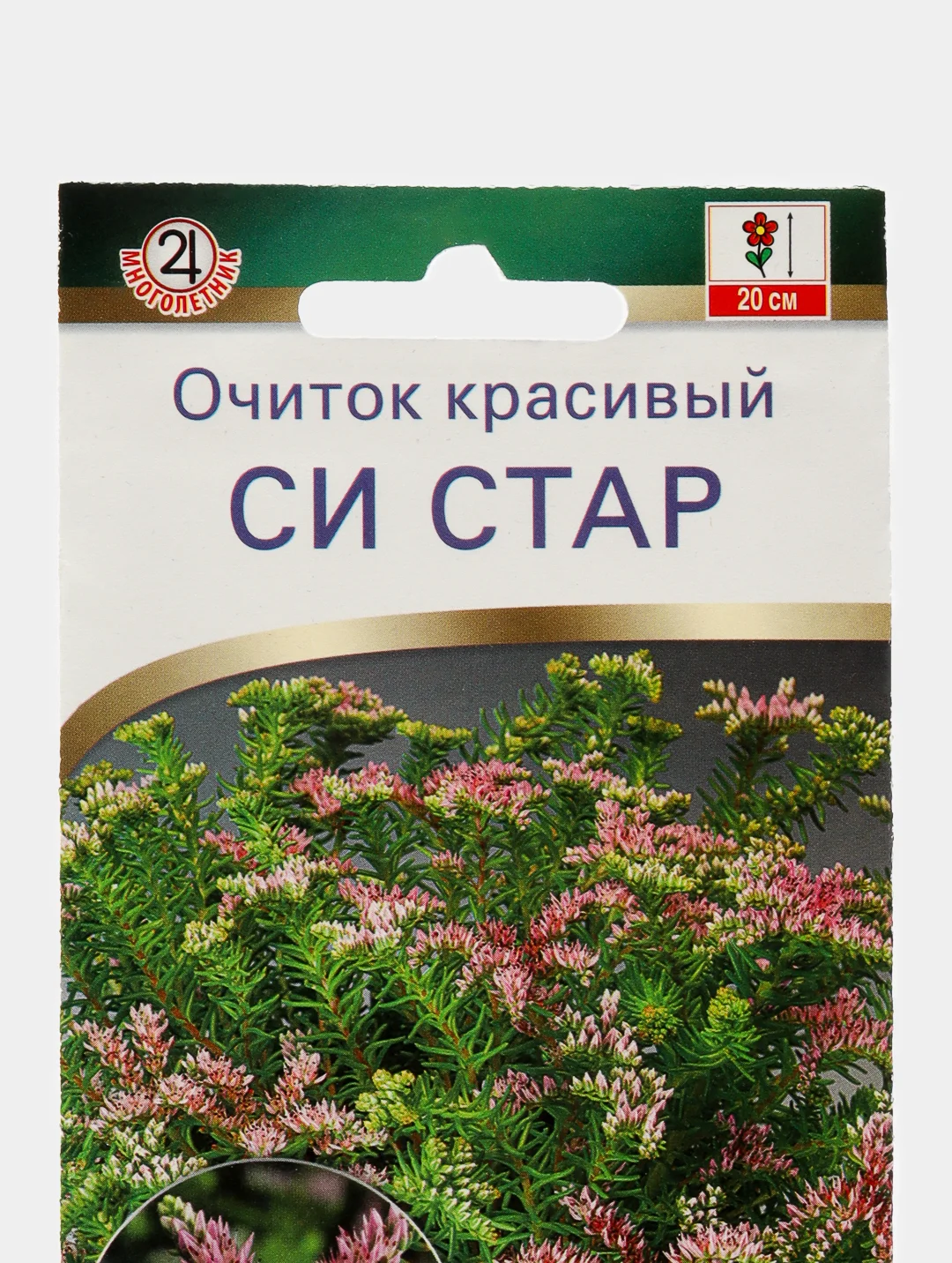 Очиток красивый Си стар (семена,цветы)