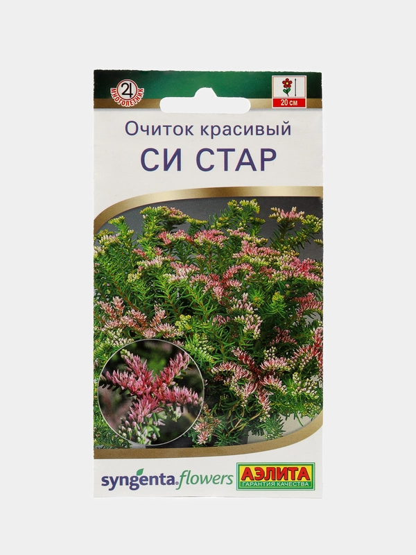 Очиток красивый Си стар (семена,цветы)