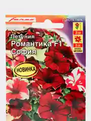 Петуния Романтика F1 софия (семена,цветы)