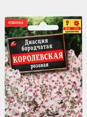 Диасция Королевская розовая (семена,цветы)