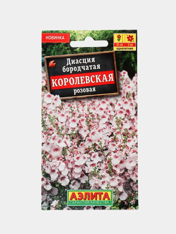 Диасция Королевская розовая (семена,цветы)