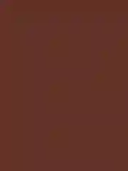 FOCALLURE Подводка для век Lasting Waterproof Liquid Eyeliner тон S02 (коричневая), 0,6 г