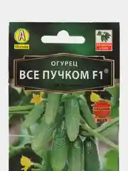 Семена огурцов,Все пучком и Шпингалет